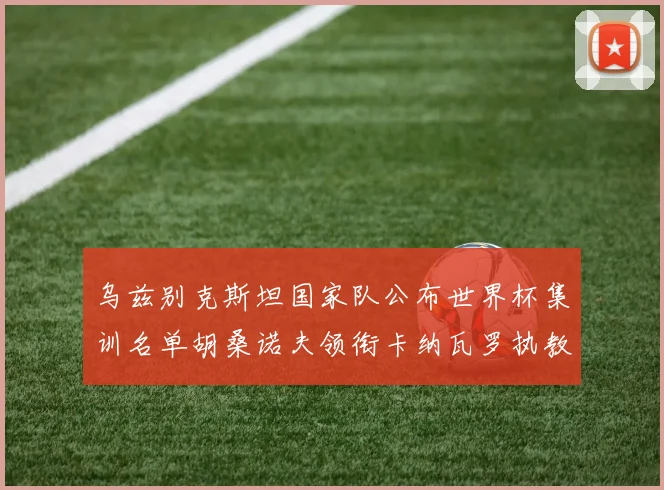 乌兹别克斯坦国家队公布世界杯集训名单胡桑诺夫领衔卡纳瓦罗执教